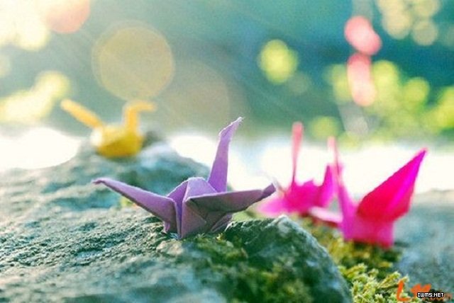 學(xué)習(xí)催眠之前最想了解的幾個(gè)問題